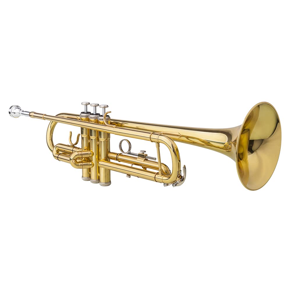 Bb Trumpet with Case and Gloves R174926