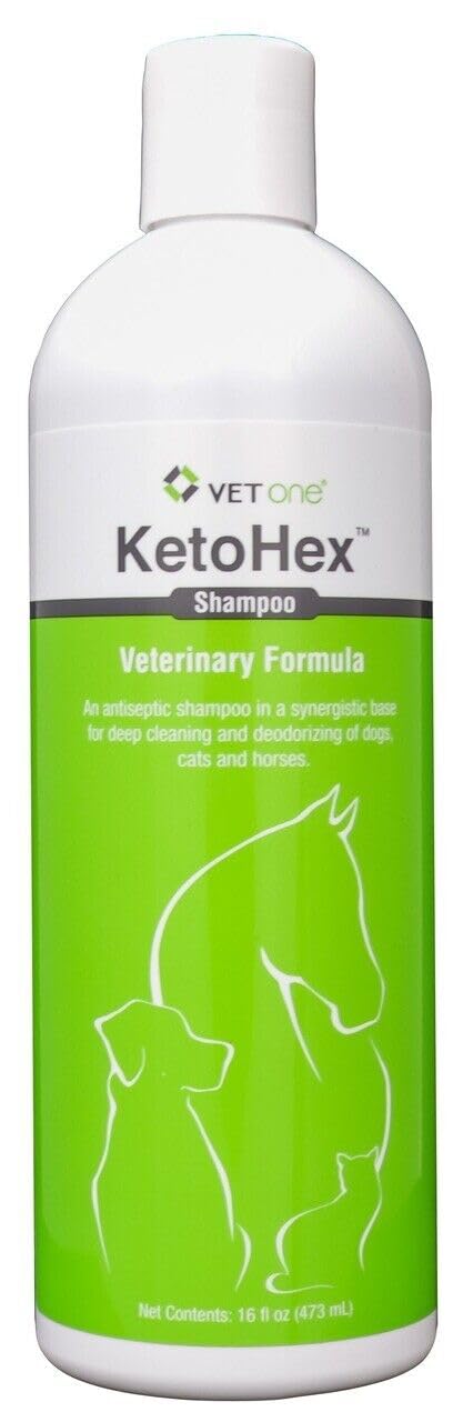 16 oz Anti Bacterial Cat & Dog Flea And Tick Shampoo W24913