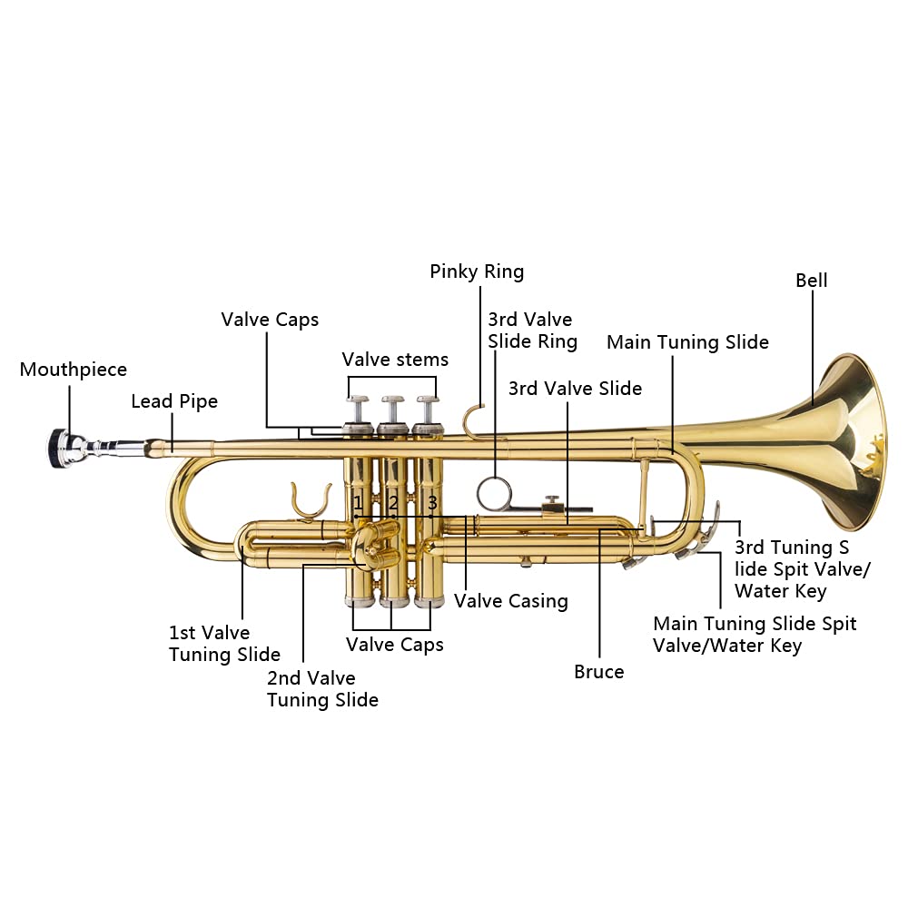 Bb Trumpet with Case and Gloves R174926