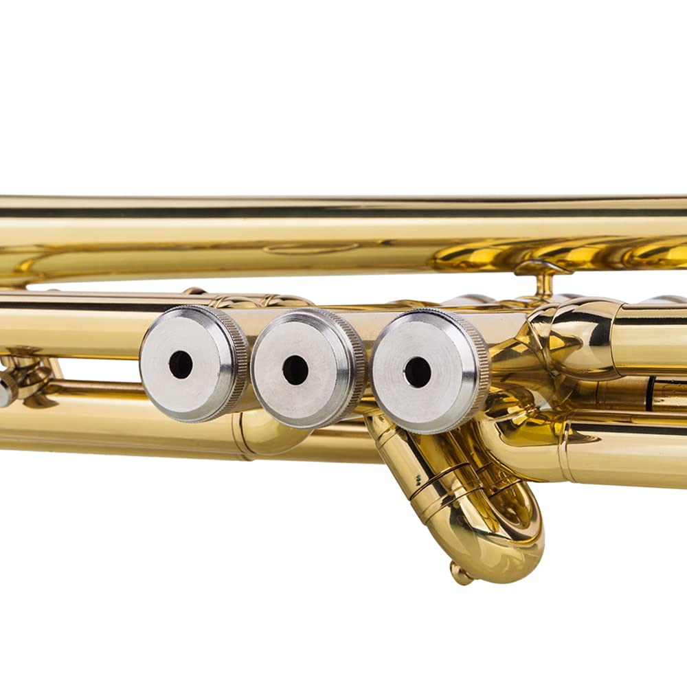 Bb Trumpet with Case and Gloves R174926