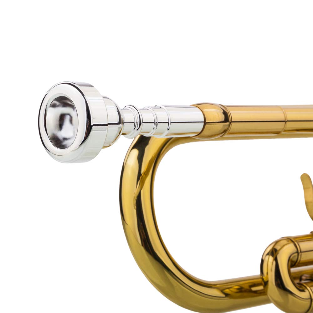 Bb Trumpet with Case and Gloves R174926