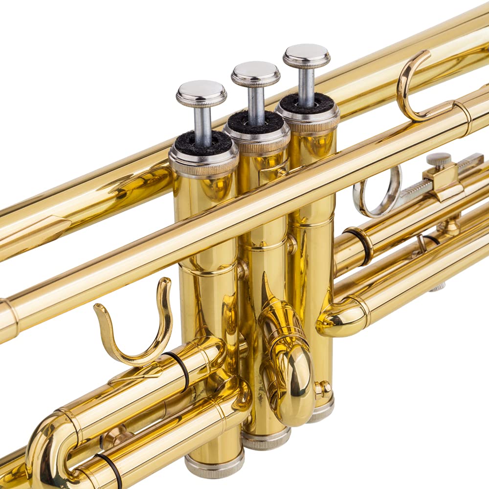 Bb Trumpet with Case and Gloves R174926