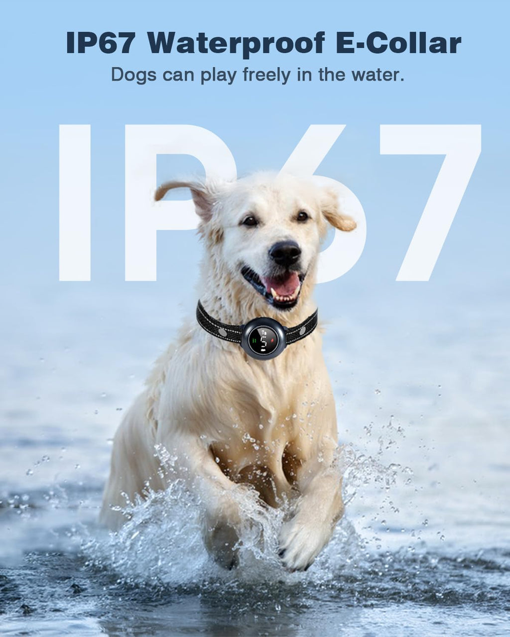 2-in-1 Dog Shock Collar & Dog Bark Collar IP67 Waterproof X715476
