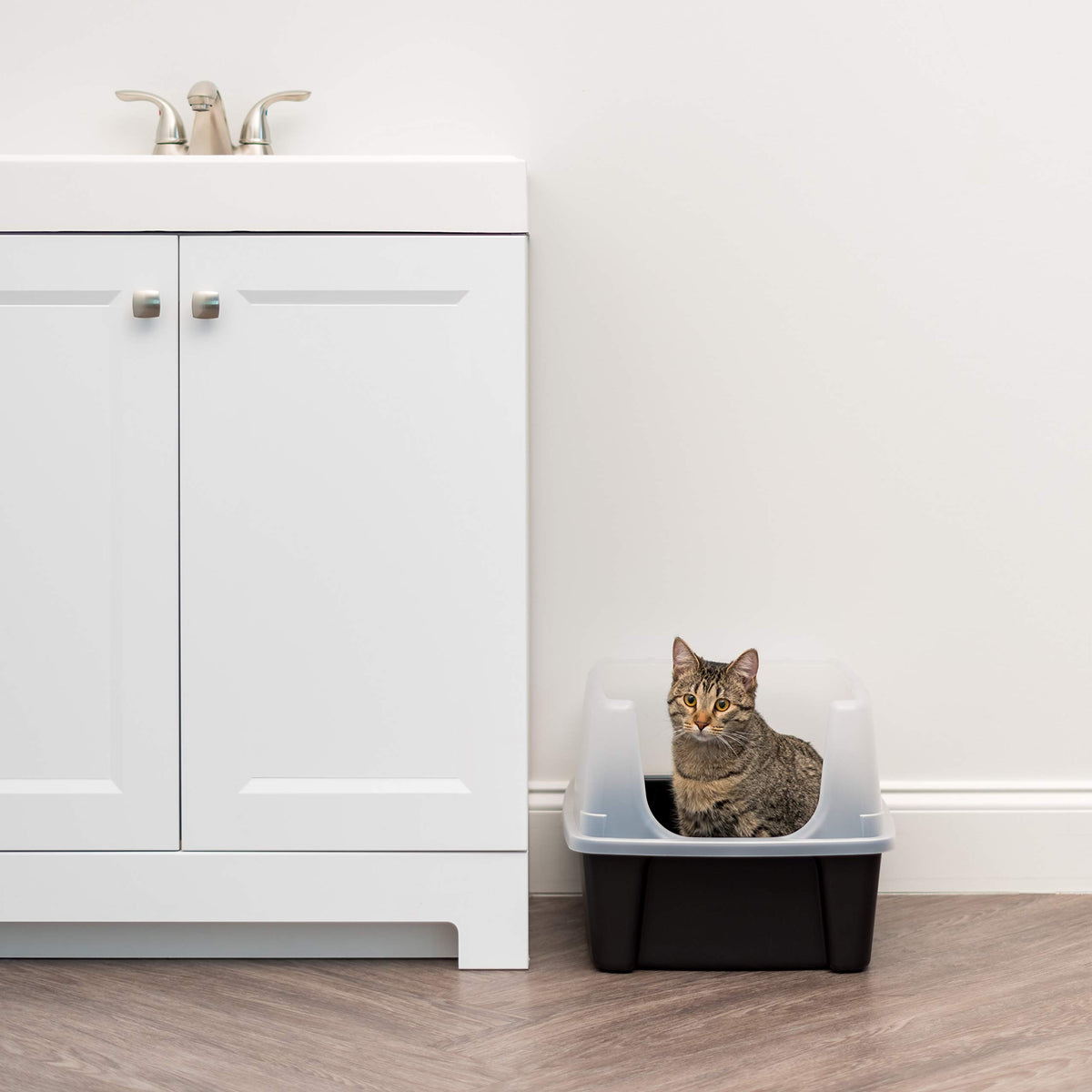 High Sided Cat Litter Box with Scatter Shield, Black H88300