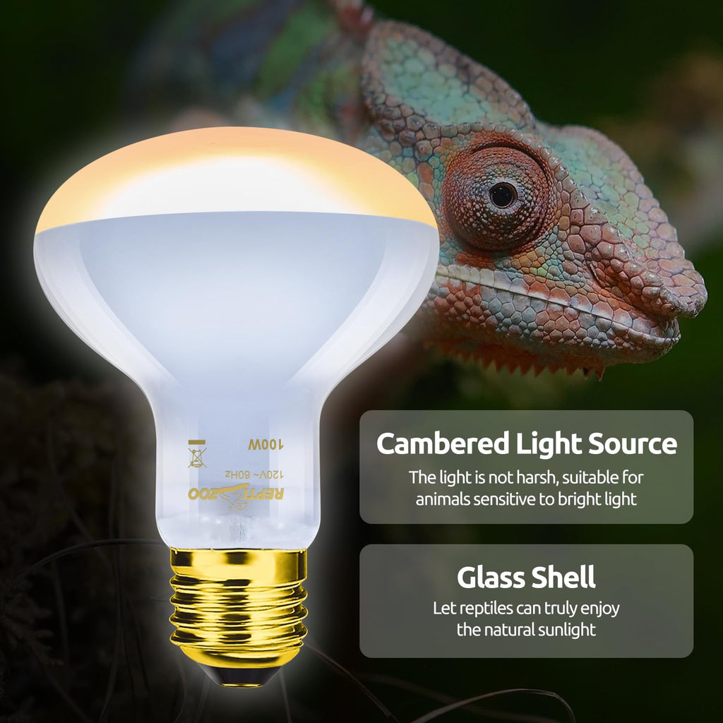Reptile Heat Lamp Combo Pack with Dual Light Fixture W8174