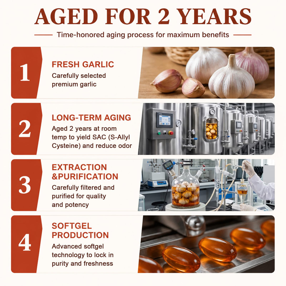 Aged Garlic Extract Softgels 1,200 mg 180 Softgels X737611