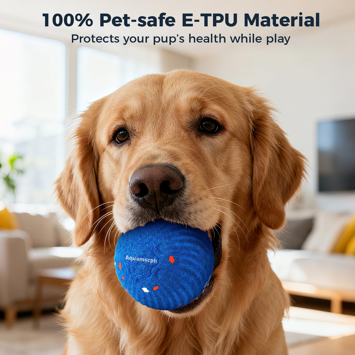 2-Pack Interactive Washable Dog Ball L26331