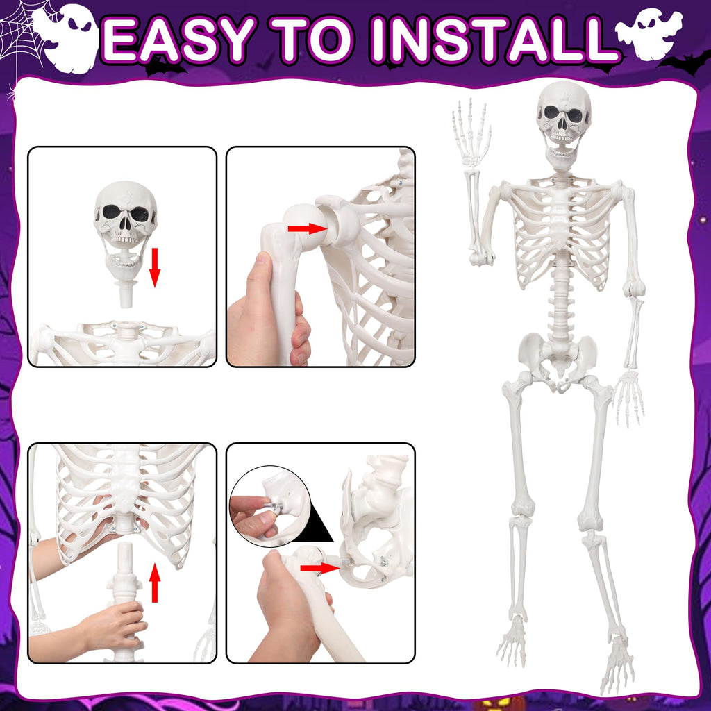 5.4Ft Life Size Skeleton with Movable Joints W956