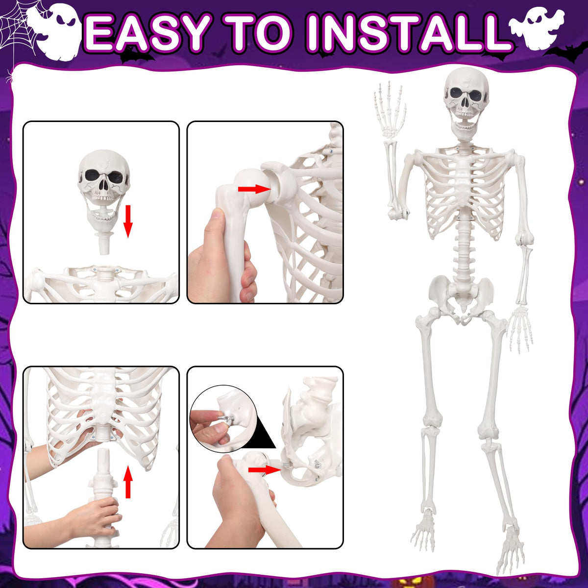 5.4Ft Life Size Skeleton with Movable Joints W956