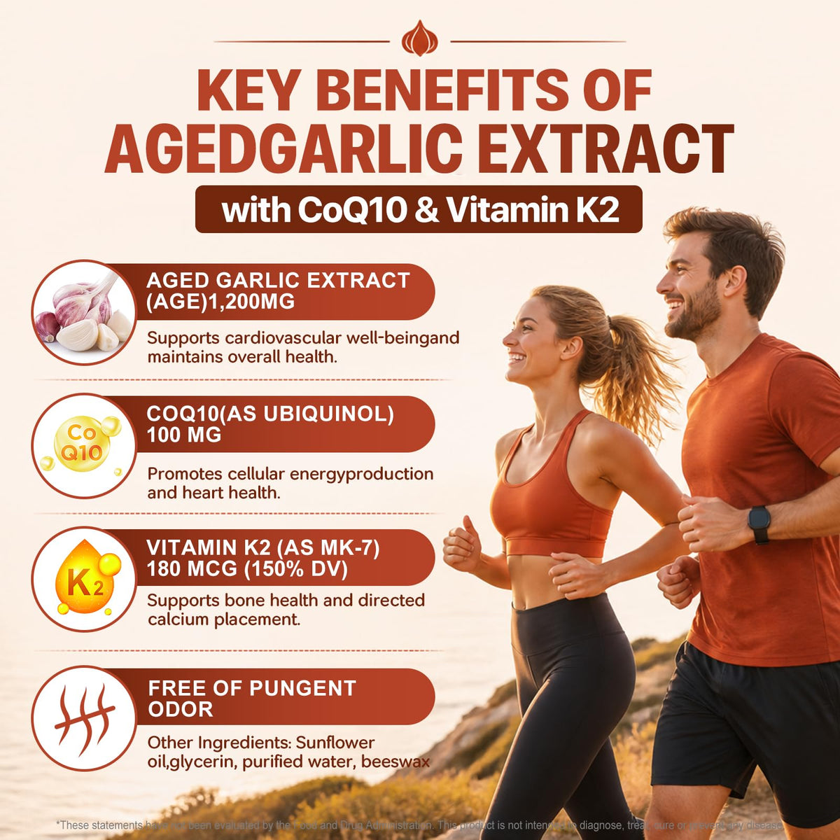 Aged Garlic Extract Softgels 1,200 mg 180 Softgels X737611