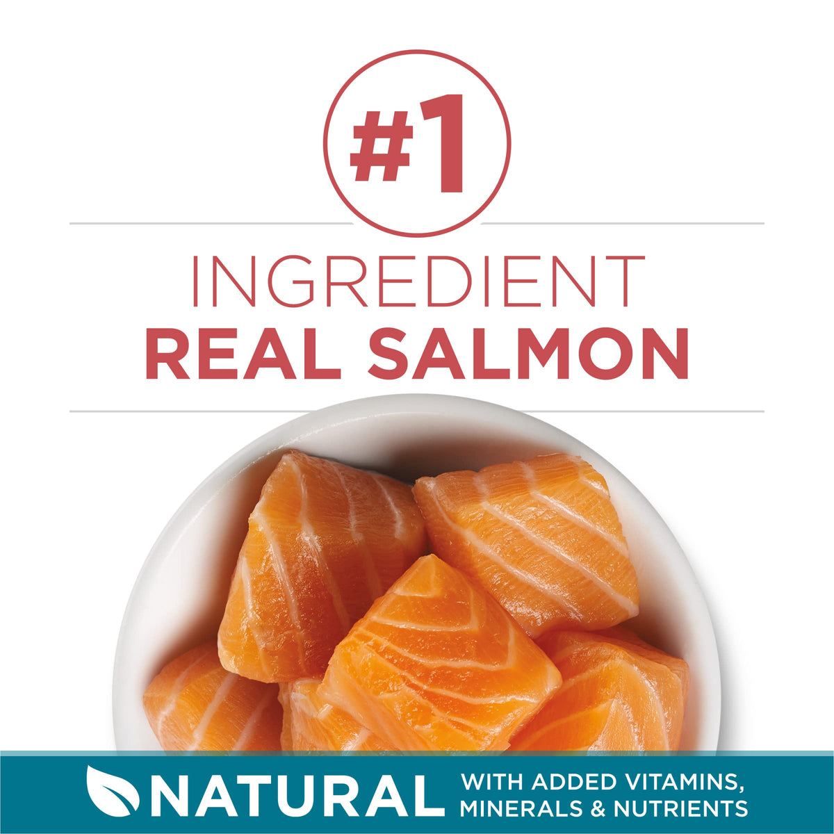 Dry Cat Food, Salmon, 7 lb Bag D719653