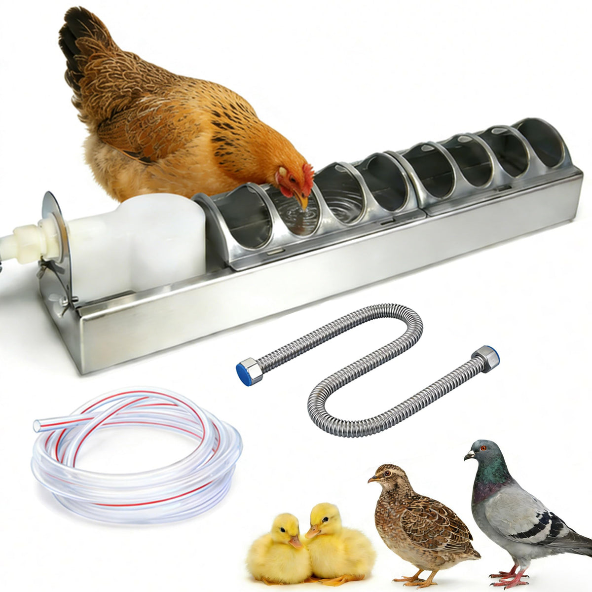 Automatic Stainless Steel Poultry Waterer I762