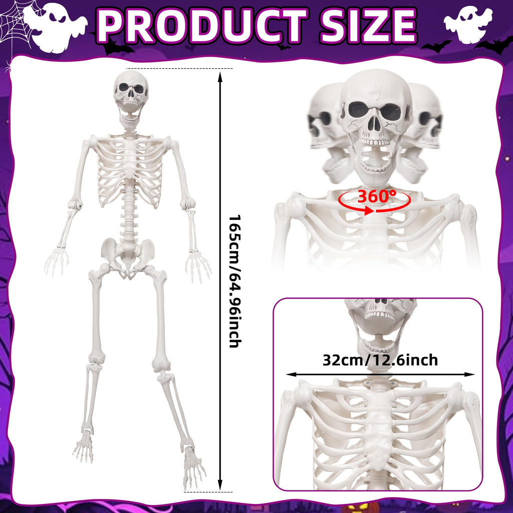 5.4Ft Life Size Skeleton with Movable Joints W956