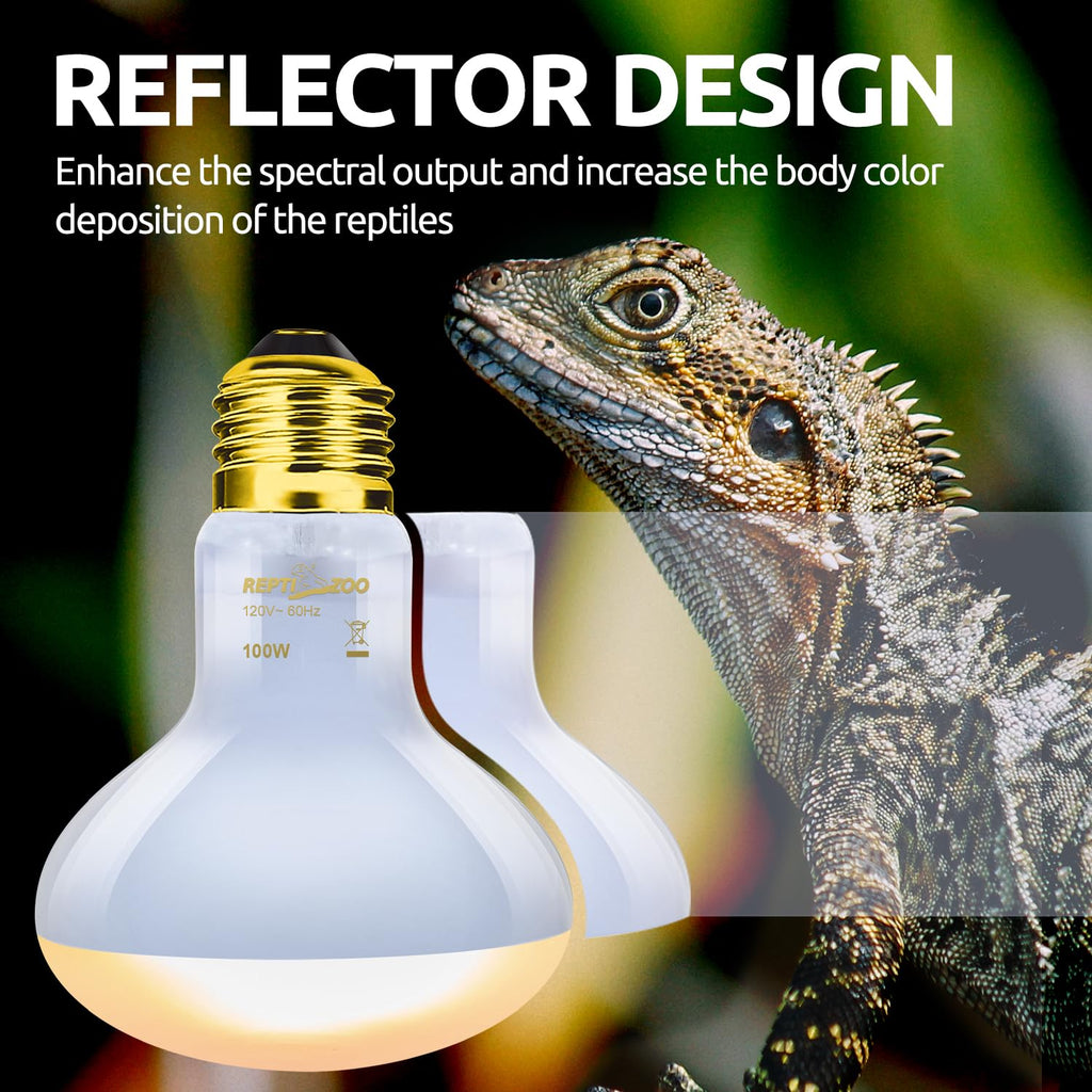 Reptile Heat Lamp Combo Pack with Dual Light Fixture W8174
