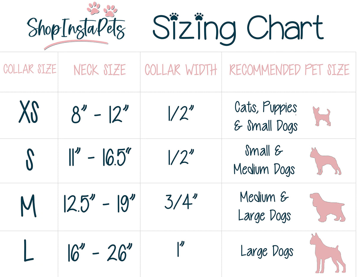 Large Collar and Leash Z328895