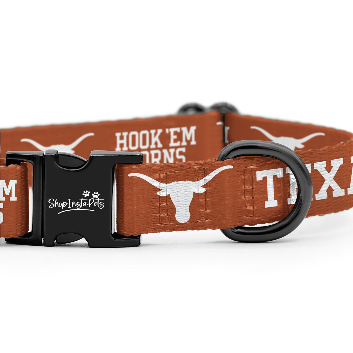 Large Collar and Leash Z328895