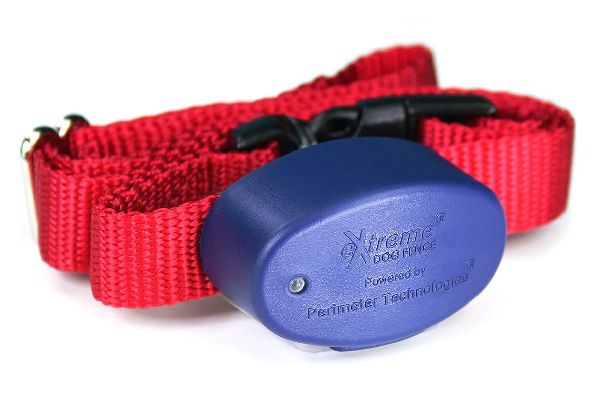Dog Fence Add-On Receiver Collar I719210