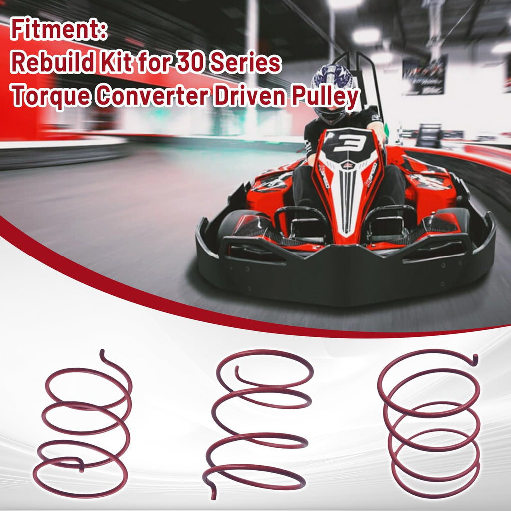 30 Series Torque Converter Driven Pulley Rebuild Kit T583
