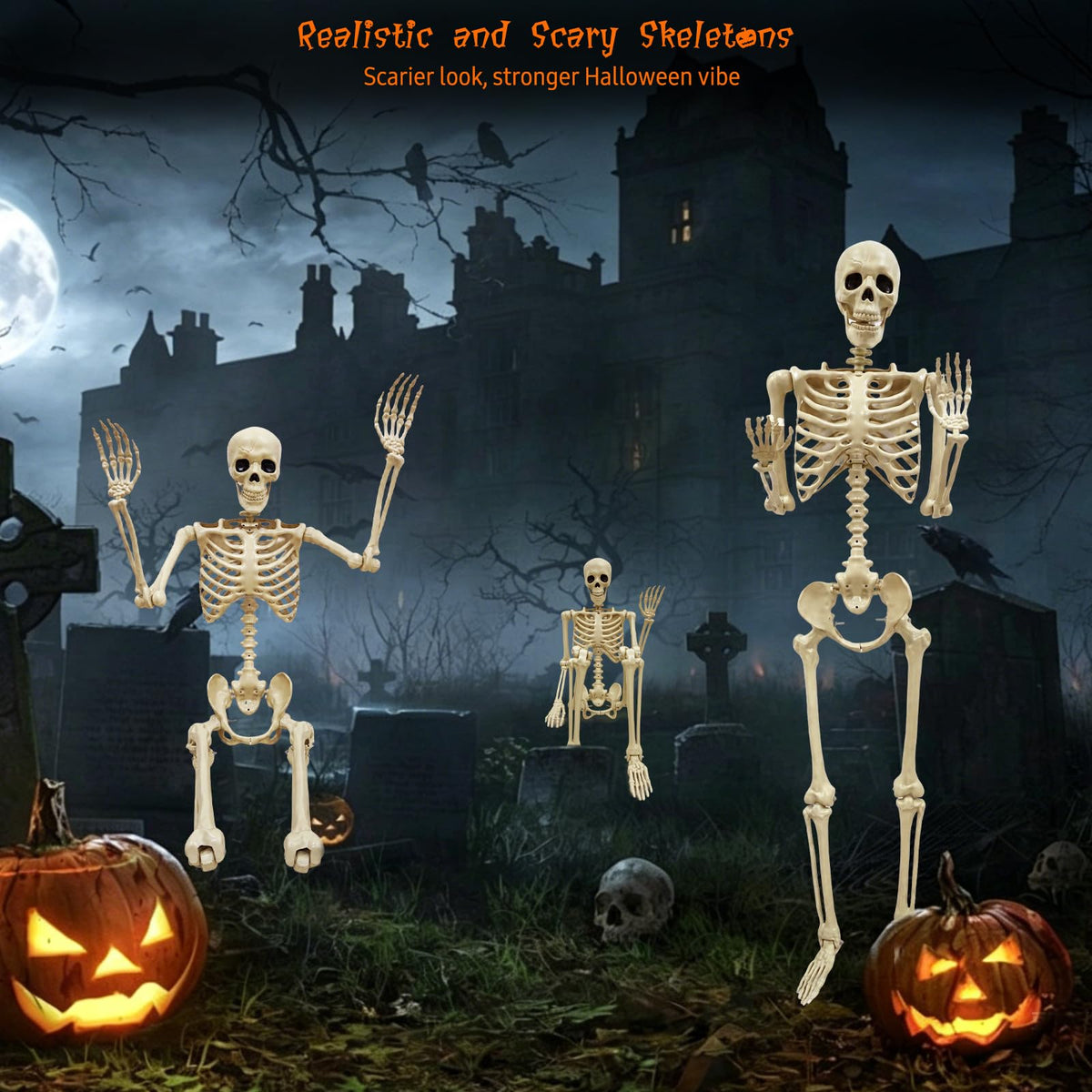 Life Size Skeleton T32245
