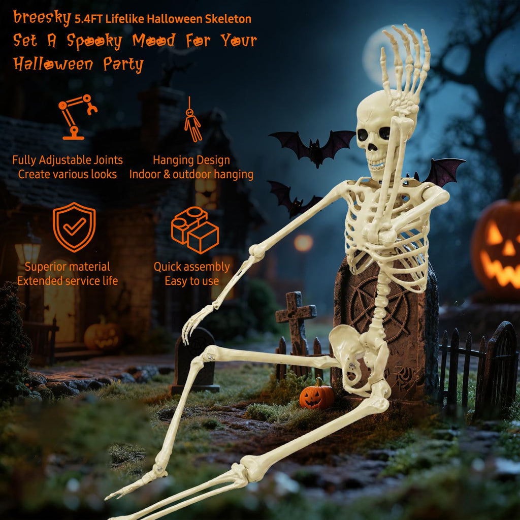 Life Size Skeleton T32245