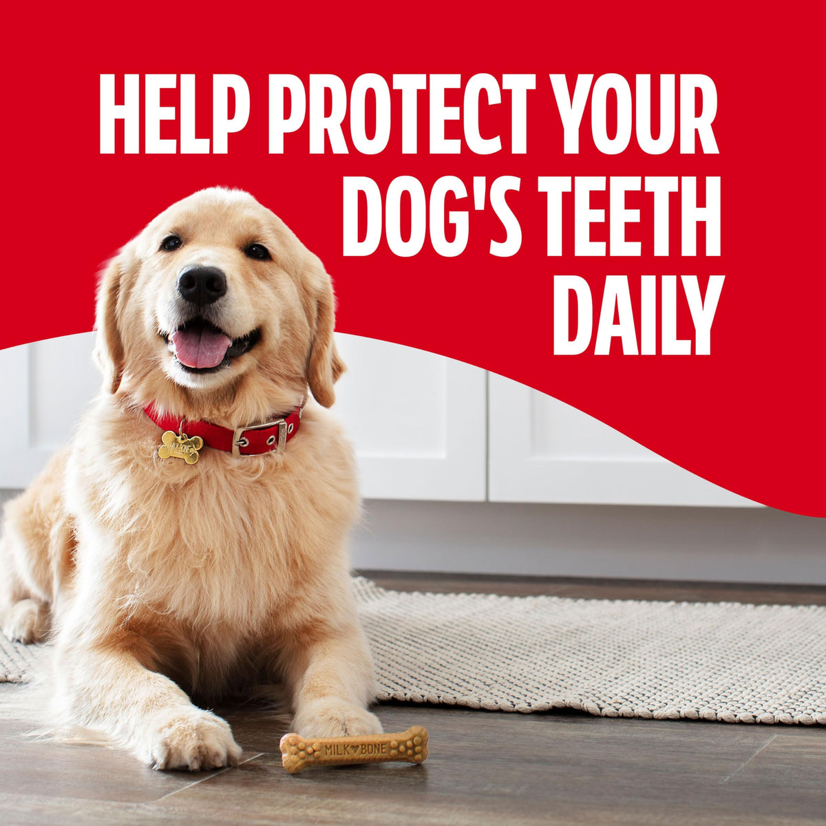 Large Daily Dental Dog Chews 33.7 oz Bag E1405