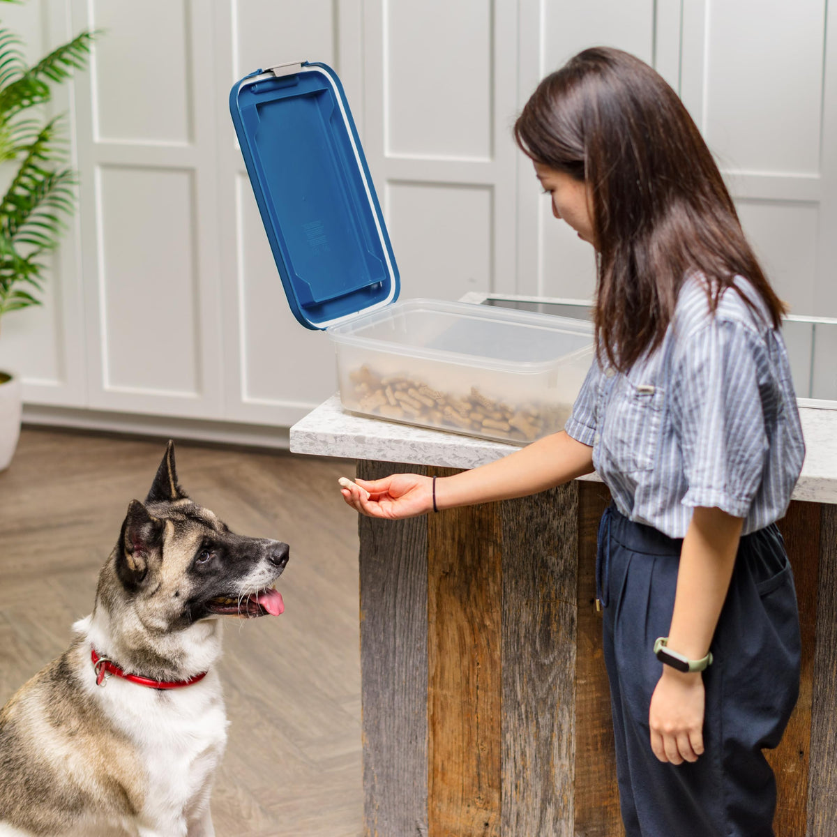 Dog Food Storage Container, Up to 11 lbs, Navy E698293