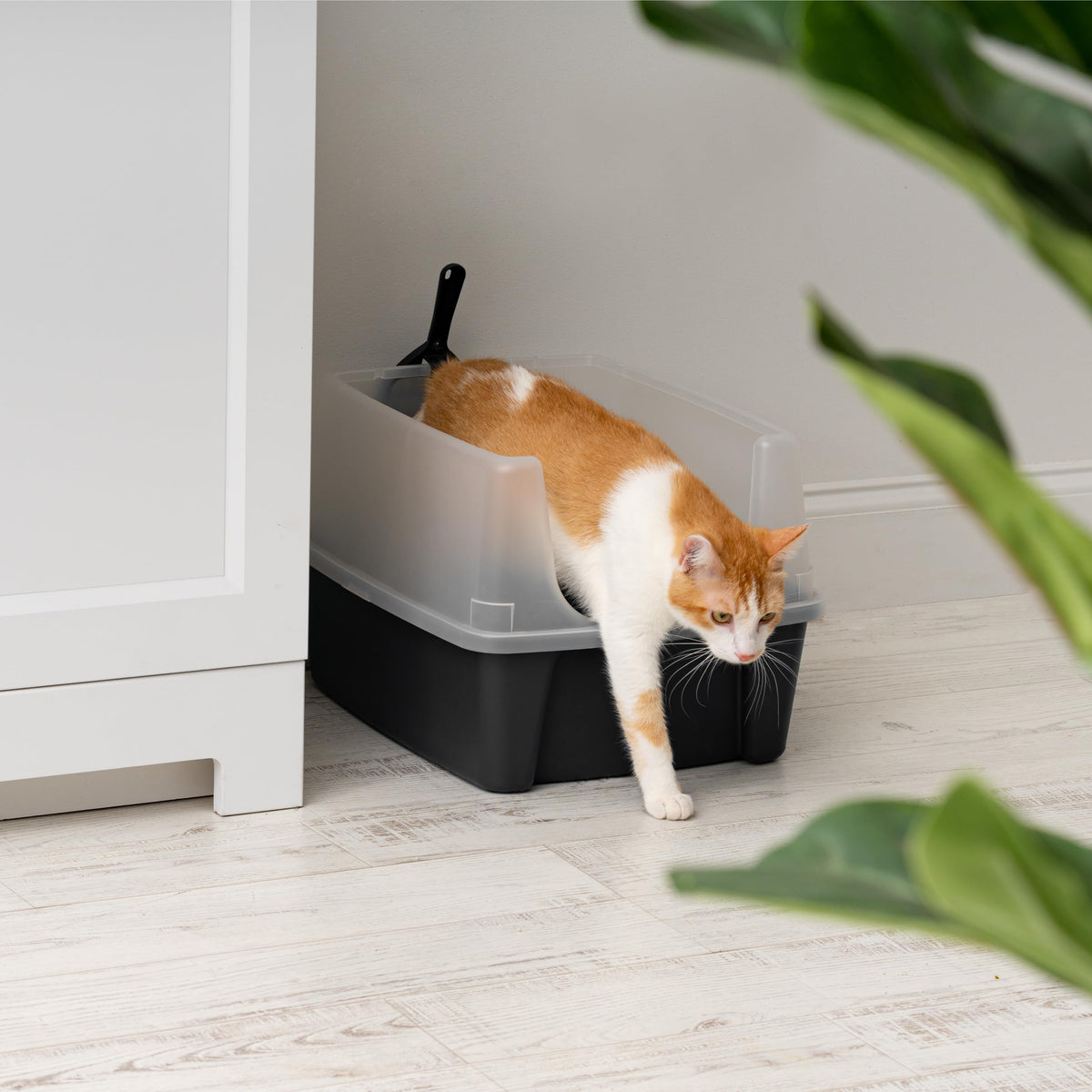 High Sided Cat Litter Box with Scatter Shield, Black H88300