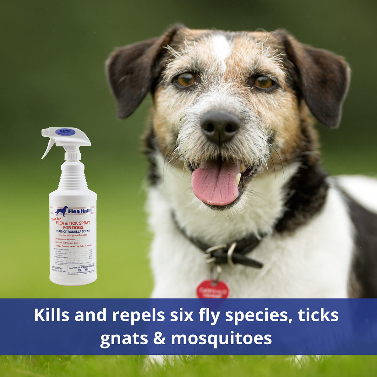 Water-Based Flea & Tick Spray for Dogs, 40 fl oz W11089