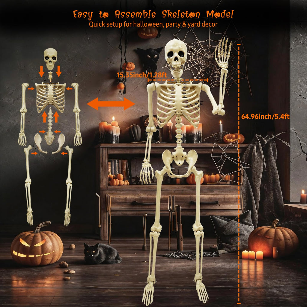 Life Size Skeleton T32245