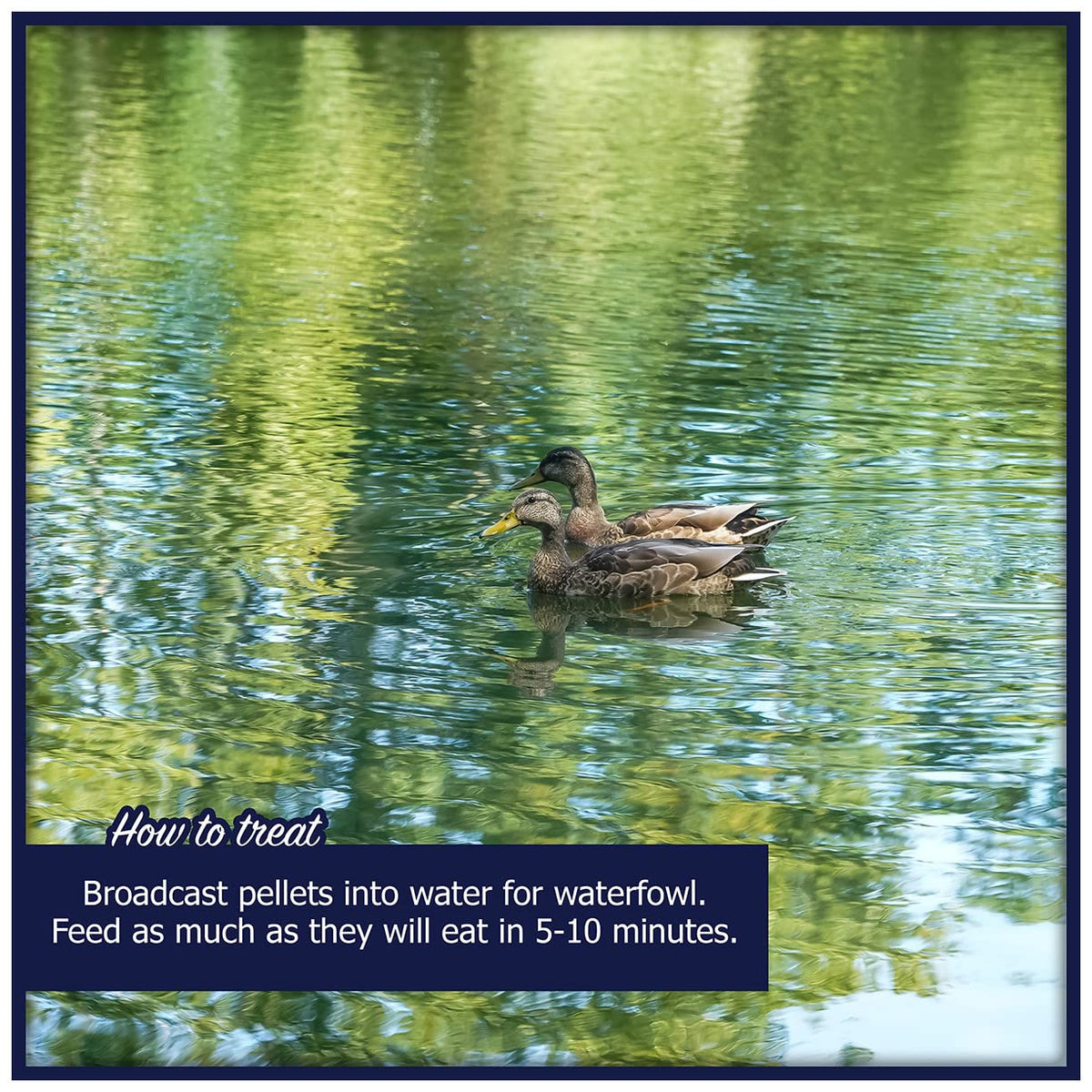 Waterfowl Feed 20 lb Bag Floating Pellets W791227