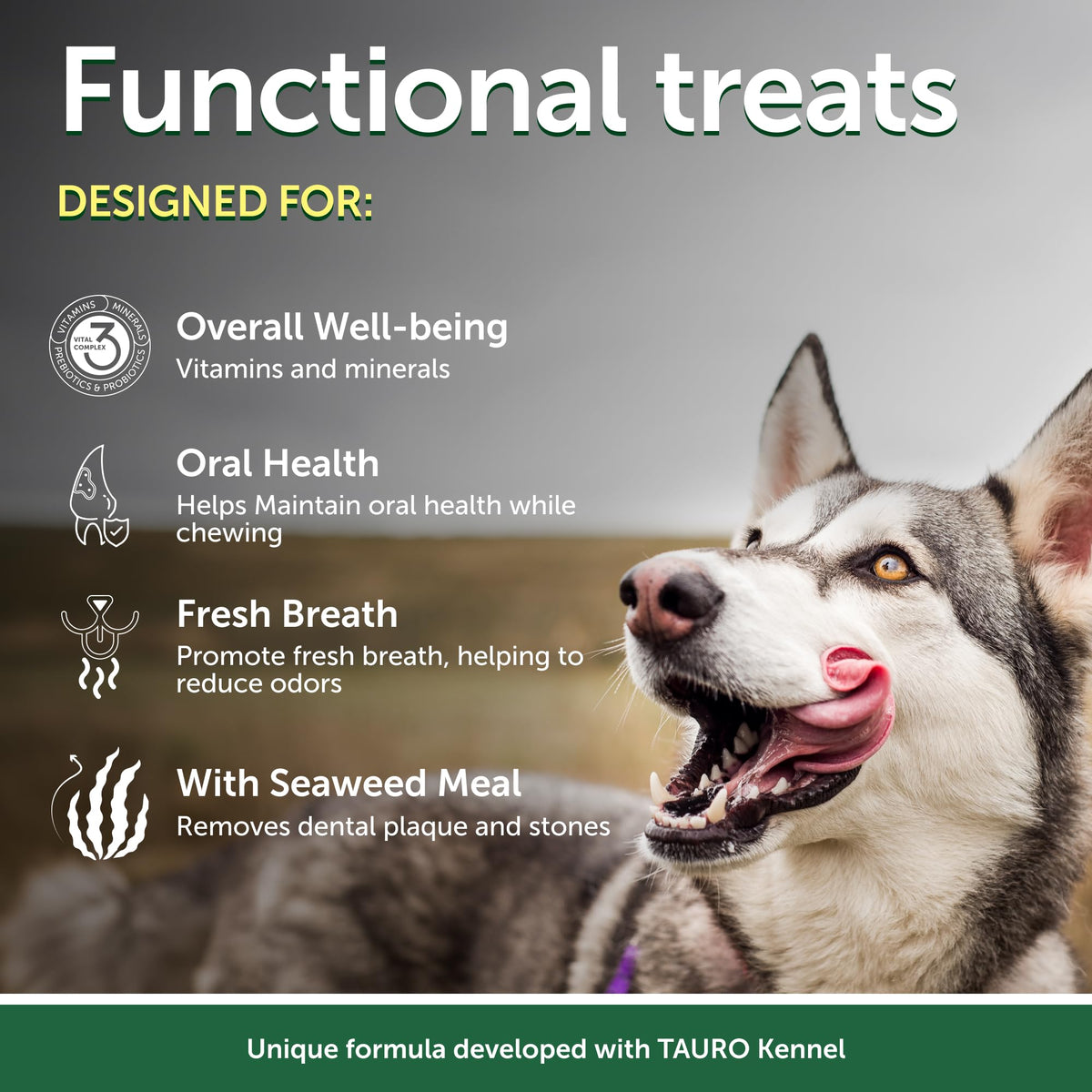 Dog Dental Sticks 5.29oz X203
