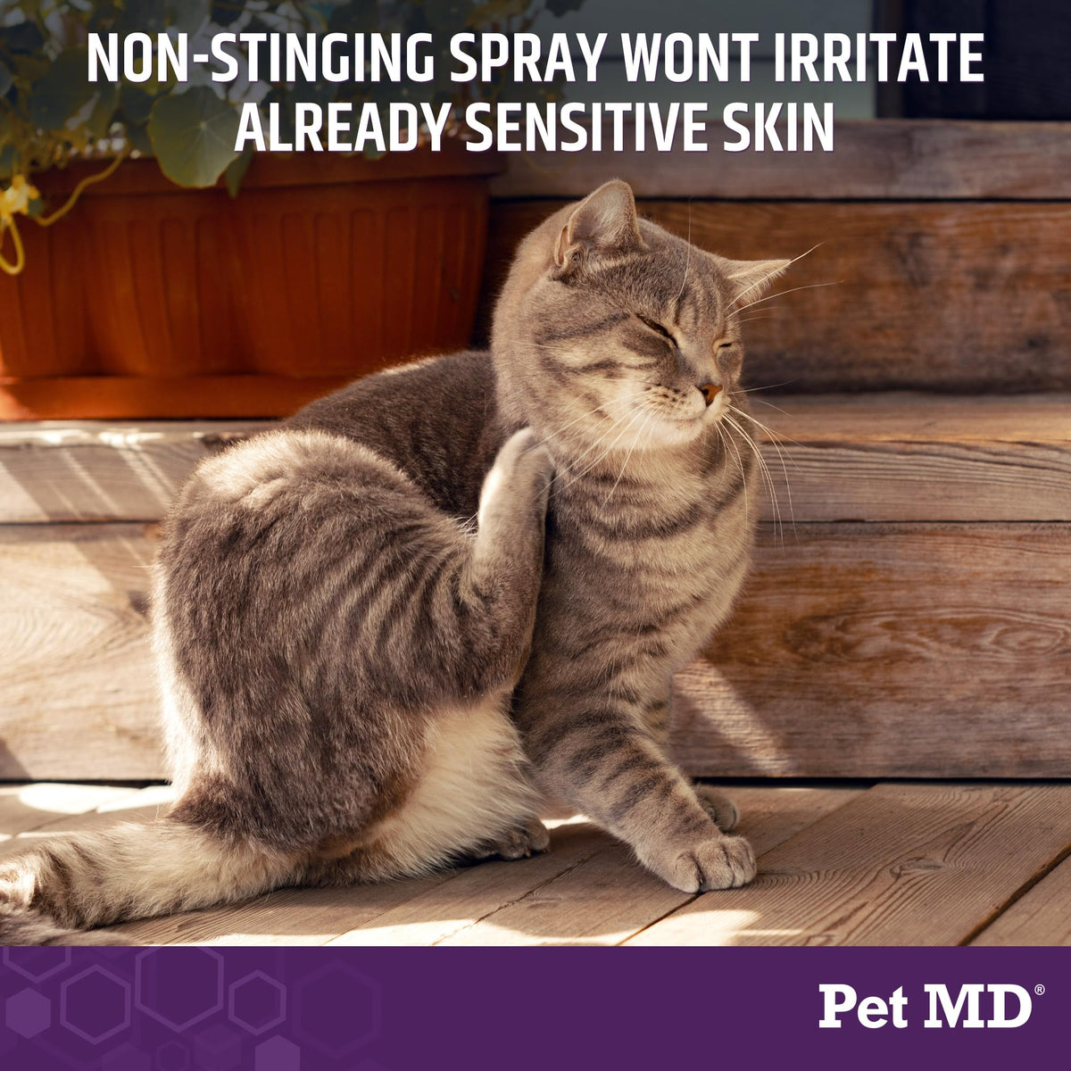 Hypochlorous Acid Spray for Dogs & Pets 4oz A66866