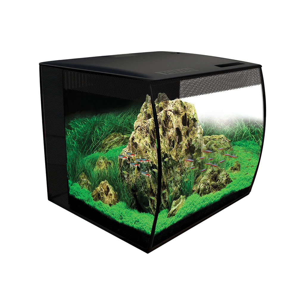 15 Gallon Nano Glass Aquarium Kit Y864534