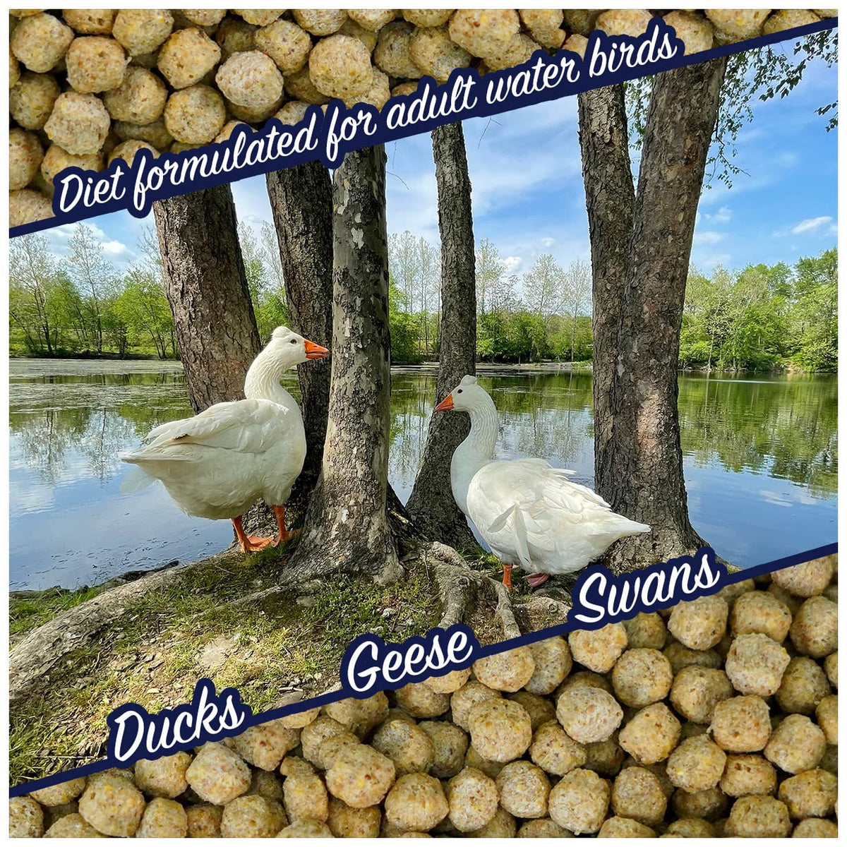 Waterfowl Feed 20 lb Bag Floating Pellets W791227