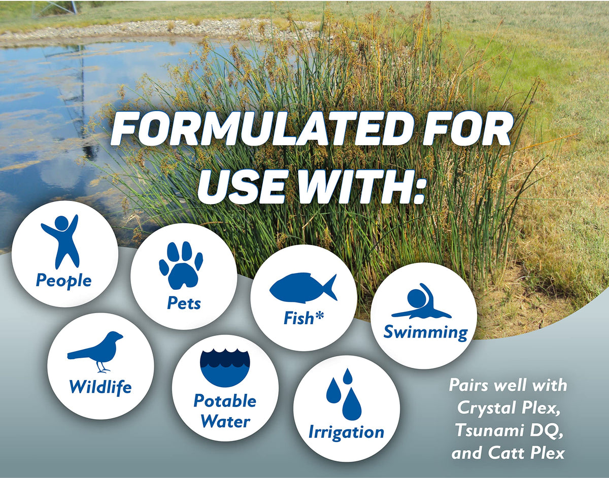 Aquatic Surfactant Quart U429
