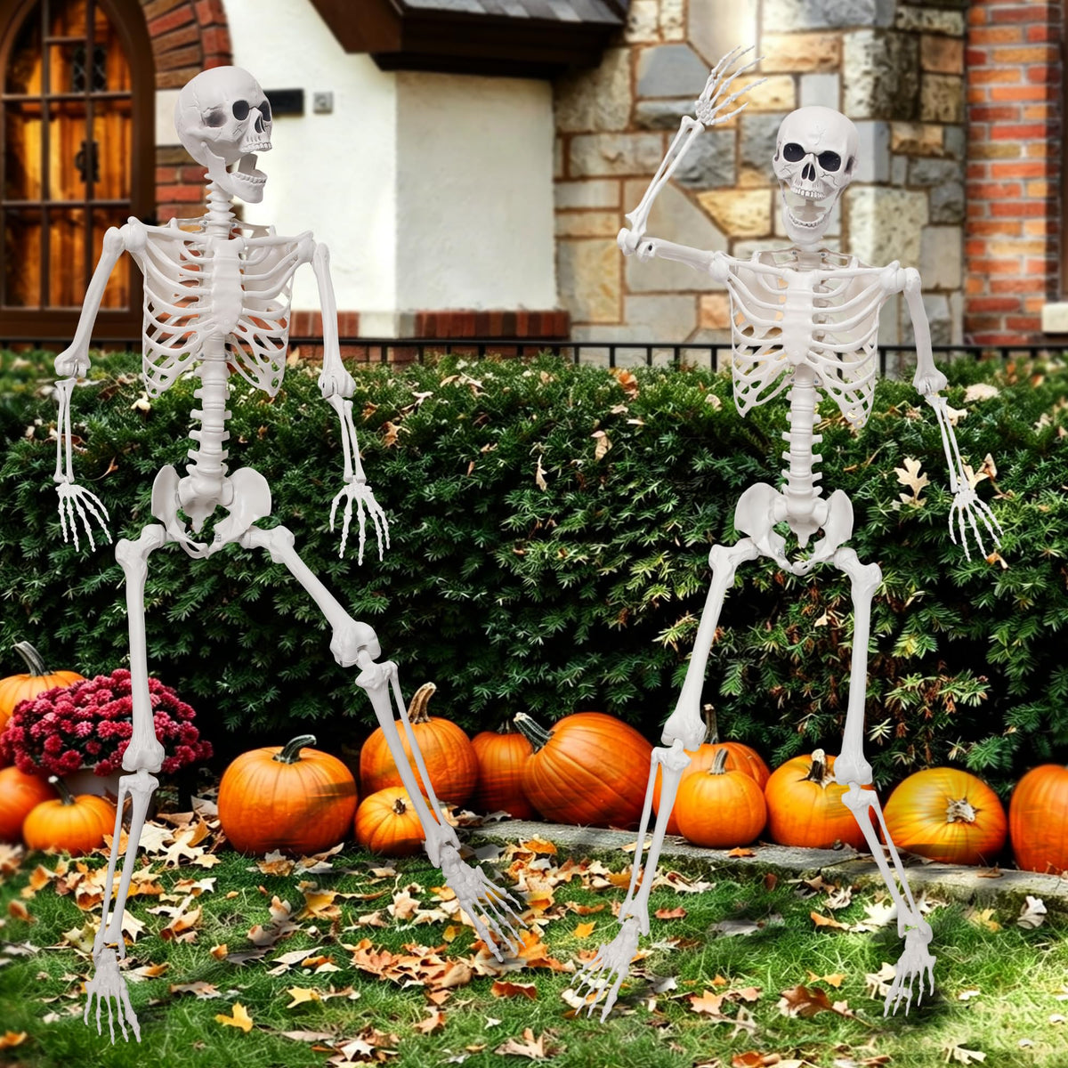 5.4Ft Life Size Skeleton with Movable Joints W956